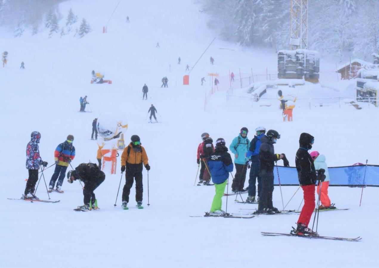 Place Royale Pour 10 A 12 Personnes A 30 Met Des Pistes De Ski Et Vtt Métabief Exterior foto